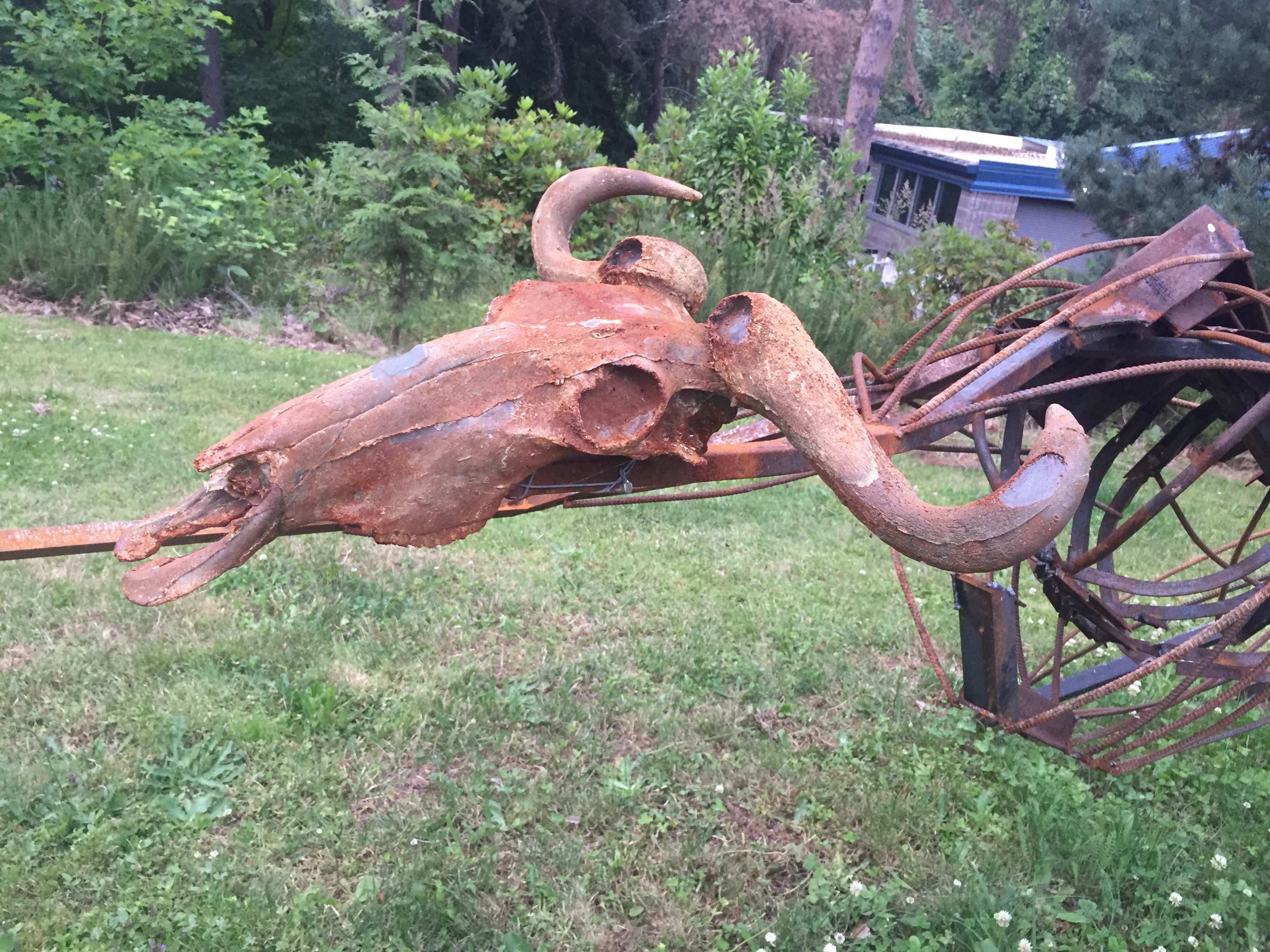 Bastard Son of a King